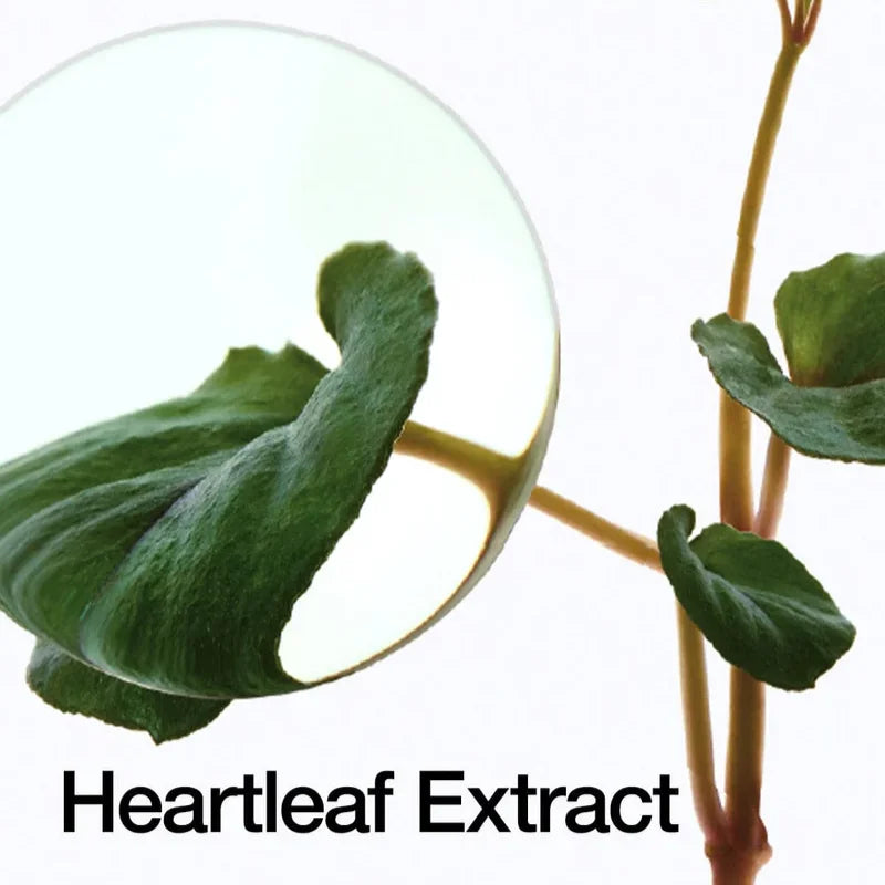 Anua - Heartleaf 70% Daily Lotion