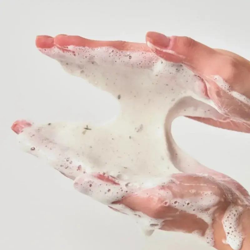 Heartleaf Quercetinol Pore Deep Cleansing Foam Anua