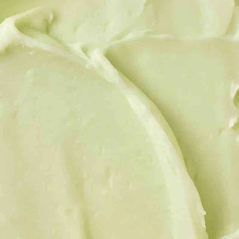 Matte Sun Stick : Mugwort + Camelia SPF 50+ PA++++ Beauty of Joseon