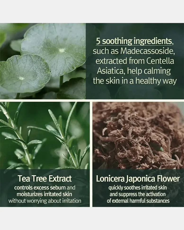 Calming Low pH Foaming Cleanser Pyunkang Yul