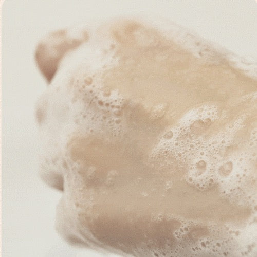 Isntree - Green Tea Fresh Cleanser