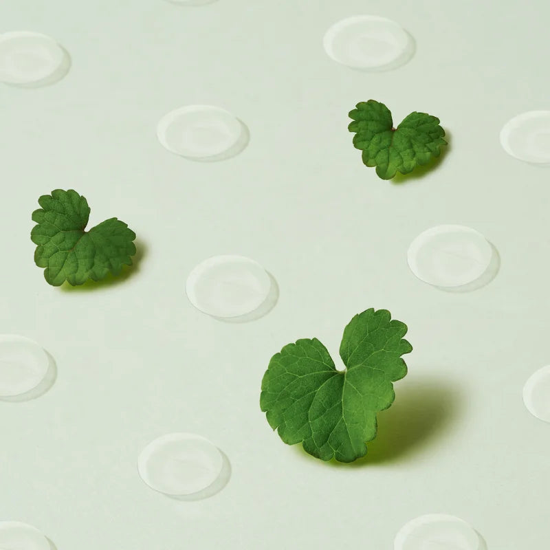 Purito SEOUL - Wonder Releaf Centella Spot Patch