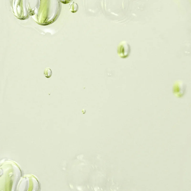 Beauty of Joseon - Calming Serum : Green Tea + Panthenol 60 ml.